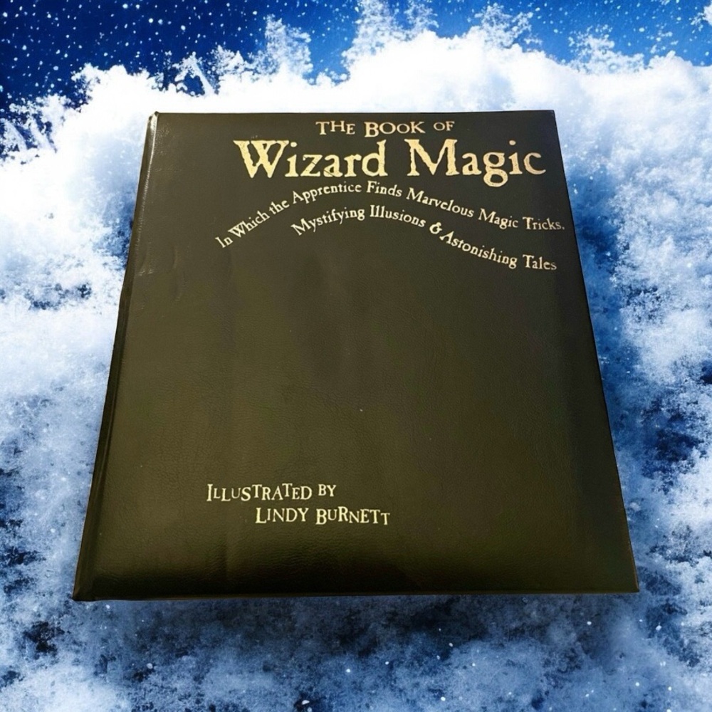 The Book of Wizard Magic 2003 by Janice Eaton Kelly and Terry Taylor